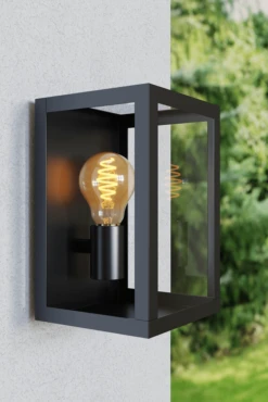 Calex Smart Standaard Led Lamp - 7W 550lm 1800-6500K 7 Calex Smart Standaard Led Lamp - 7W 550lm 1800-6500K -Tuinwereld Verkoop calex smart standaard led lamp 7w 550lm 1800 6500k 4