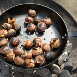 Kastanjepan - Fancy Flames -Tuinwereld Verkoop kastanjepan fancy flames 3 1