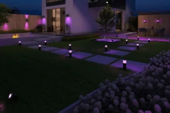 Calex Smart Outdoor Classic Wandlamp RGB CCT - 4W 380lm 7 Calex Smart Outdoor Classic Wandlamp RGB CCT - 4W 380lm -Tuinwereld Verkoop smart outdoor classic wandlamp rgb cct 4w 380lm 4