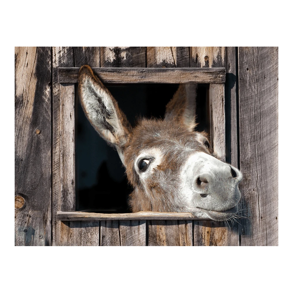 Tuinposter Ezel - 80x60cm 1 Tuinposter Ezel - 80x60cm