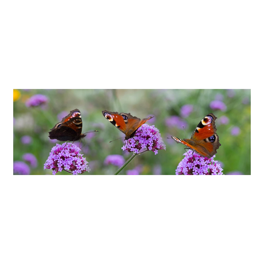 Tuinposter Vlinders - 110x45cm 1 Tuinposter Vlinders - 110x45cm